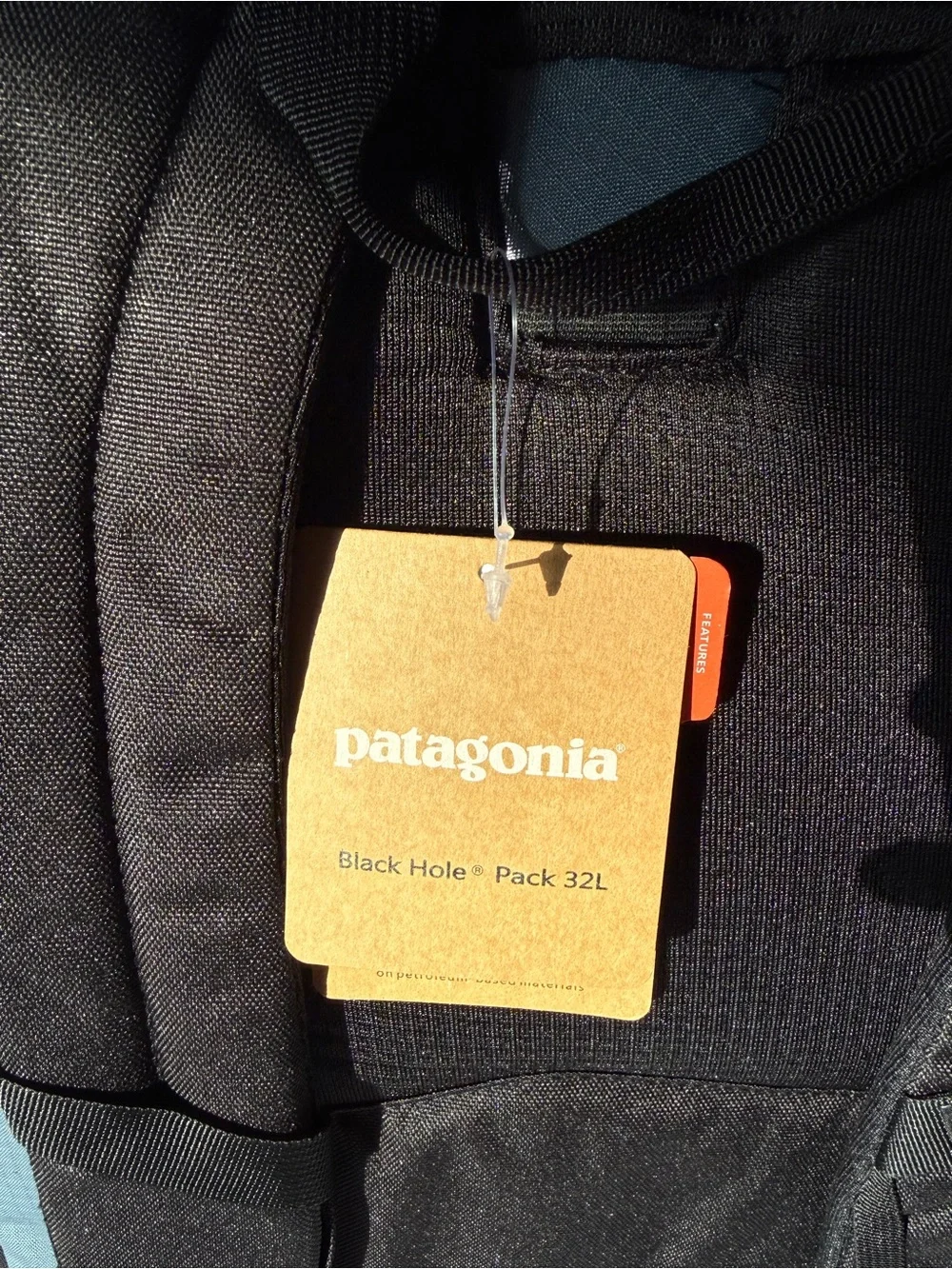 NWT Patagonia Black Hole Pack 32L
